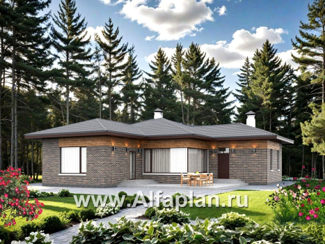 «Эдем» - проект одноэтажного дома с панорамным остеклением, с оригинальным планом,  3 спальни - превью дополнительного изображения №1