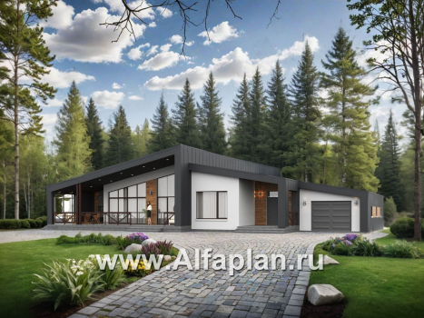 «Лагуна» - проект современного, роскошного одноэтажного дома, в стиле барнхаус, с гаражом и зимним садом - превью дополнительного изображения №1