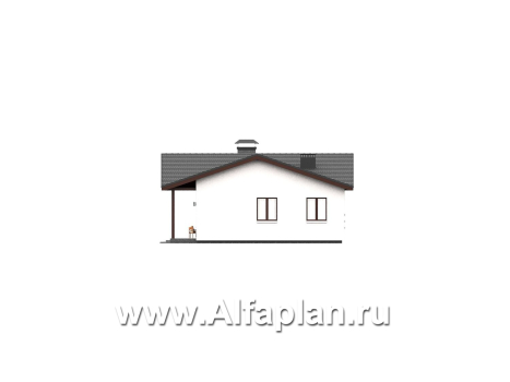 «Терминал» - проект одноэтажного дома c террасой вдоль дома, планировка мастер спальня, 4 спальни, постирочная - превью фасада дома - фото №4