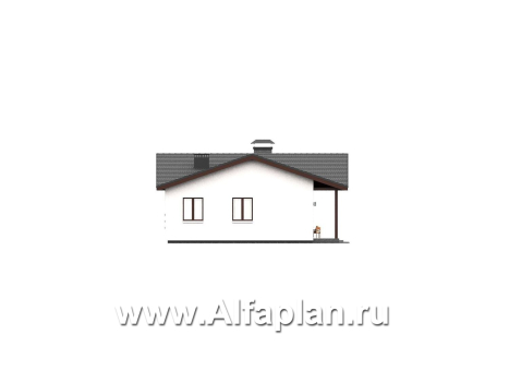 «Терминал» - проект одноэтажного дома c террасой вдоль дома, планировка мастер спальня, 4 спальни, постирочная - превью фасада дома - фото №4