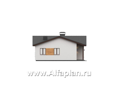 «Терминал» - проект одноэтажного дома c террасой вдоль дома, планировка мастер спальня, 5 спален, гардероб - превью фасада дома - фото №4