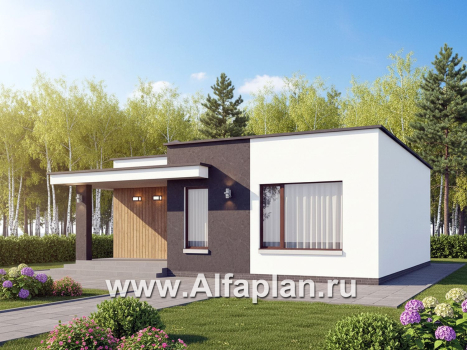 «Заозерье» - проект практичного одноэтажного коттеджа с плоской крышей, планировка 2 спальни - превью дополнительного изображения №2