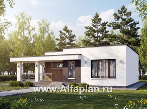 «Подлипье» - экономичный одноэтажный коттедж с плоской кровлей, планировка 2 спальни, с террасой - превью дополнительного изображения №1
