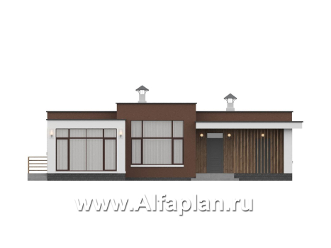 «Селена» - проект одноэтажного дома  с плоской крышей, планировка мастер спальня, 2 детских, кладовая при кухне, остекленная веранда - превью фасада дома - фото №1