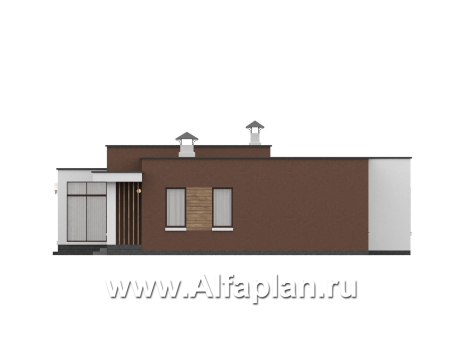 «Селена» - проект одноэтажного дома  с плоской крышей, планировка мастер спальня, 2 детских, кладовая при кухне, остекленная веранда - превью фасада дома - фото №2