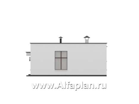 «Белоостров» - проект одноэтажного дома с плоской крышей, планировка 2 спальни, кладовая при кухне - превью фасада дома - фото №4