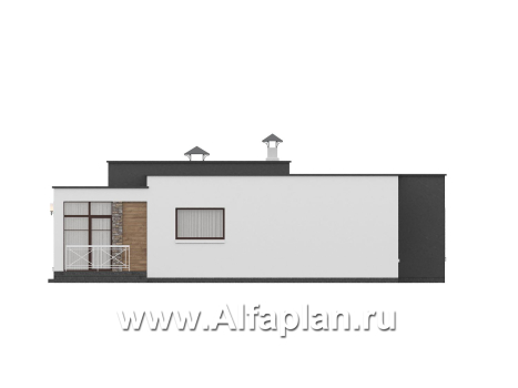 «Селена» - проект одноэтажного дома  с плоской кровлей, планировка мастер спальня, 2 детских, кладовая рядом с кухней, остекленная веранда - превью фасада дома - фото №4