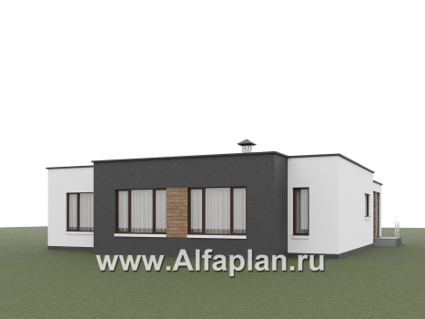 «Селена» - проект одноэтажного дома  с плоской кровлей, планировка мастер спальня, 2 детских, кладовая рядом с кухней, остекленная веранда - превью дополнительного изображения №4