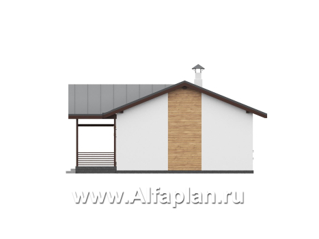 «Акцепт» - проект одноэтажного дома, планировка 2 спальни, с террасой и кладовкой при кухне. Есть вариан 1-а спальня + сауна - превью фасада дома - фото №4