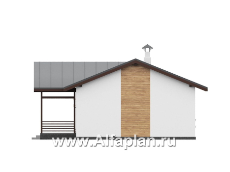 «Акцепт» - проект одноэтажного дома, планировка 2 спальни, с террасой и кладовкой при кухне. Есть вариан 1-а спальня + сауна - превью фасада дома - фото №2
