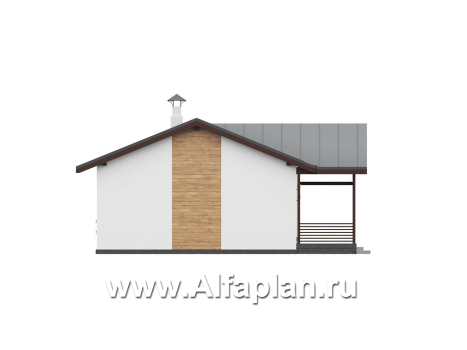 «Акцепт» - проект одноэтажного дома, планировка 2 спальни, с террасой и кладовкой при кухне. Есть вариан 1-а спальня + сауна - превью фасада дома - фото №4