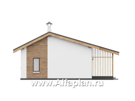 «Акцепт» - проект одноэтажного дома с двускатной кровлей, 2 спальни, с террасой. Есть вариант с сауной - превью фасада дома - фото №2