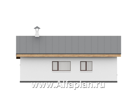 «Акцепт» - проект одноэтажного дома с двускатной кровлей, 2 спальни, с террасой. Есть вариант с сауной - превью фасада дома - фото №3