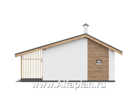 «Акцепт» - проект одноэтажного дома с двускатной кровлей, 2 спальни, с террасой. Есть вариант с сауной - превью фасада дома - фото №4