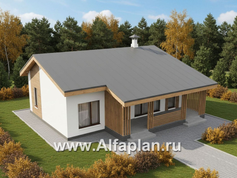 «Акцепт» - проект одноэтажного дома с двускатной кровлей, 2 спальни, с террасой. Есть вариант с сауной - превью дополнительного изображения №4