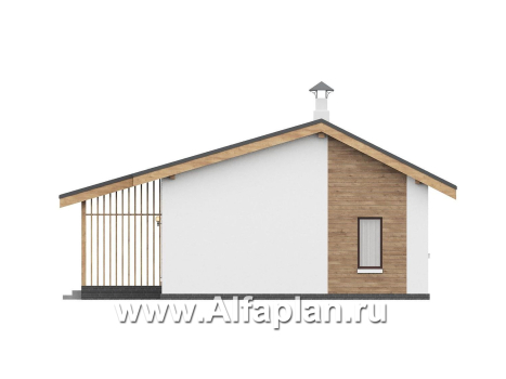 «Акцепт» - проект одноэтажного дома с двускатной кровлей, 2 спальни, с террасой. Есть вариант с сауной - превью фасада дома - фото №2