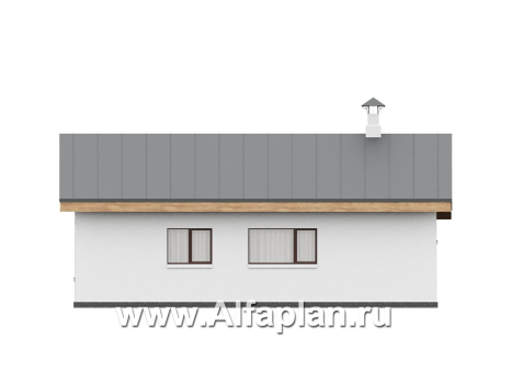 «Акцепт» - проект одноэтажного дома с двускатной кровлей, 2 спальни, с террасой. Есть вариант с сауной - превью фасада дома - фото №3