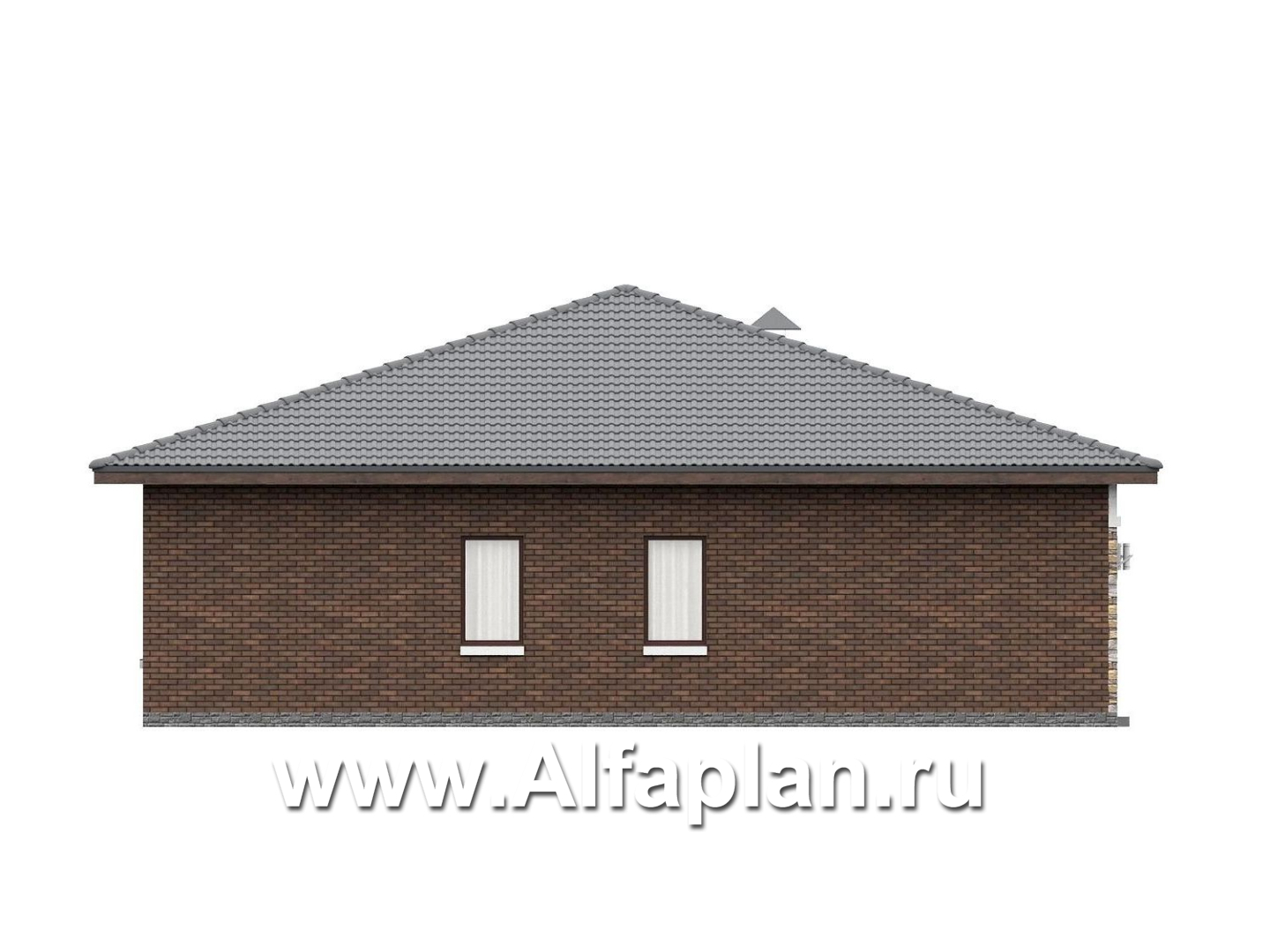 «Лукоморье» - улучшенный проект одноэтажного дома, мастер спальня, 2 детских, кладовка при кухне - фасад дома - фото №4