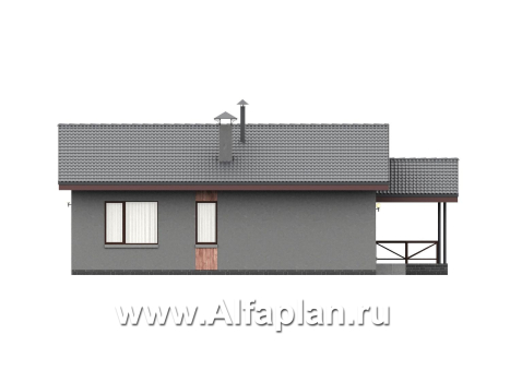«Прагматика» - проект умного одноэтажного дома, планировка 2 спальни, с террасой и двускатной крышей, удлинен на 1м - превью фасада дома - фото №3