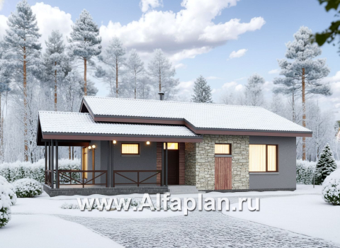 «Прагматика» - проект умного одноэтажного дома, планировка 2 спальни, с террасой и двускатной крышей, удлинен на 1м - превью дополнительного изображения №1