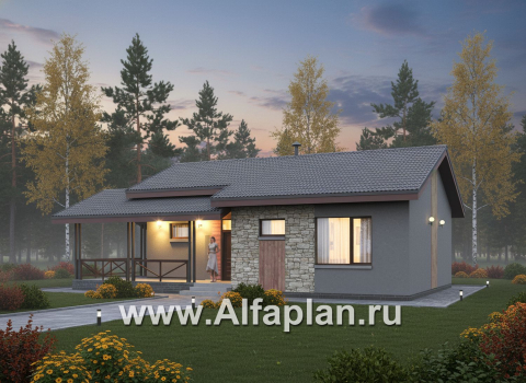 «Прагматика» - проект умного одноэтажного дома, планировка 2 спальни, с террасой и двускатной крышей, удлинен на 1м - превью дополнительного изображения №2