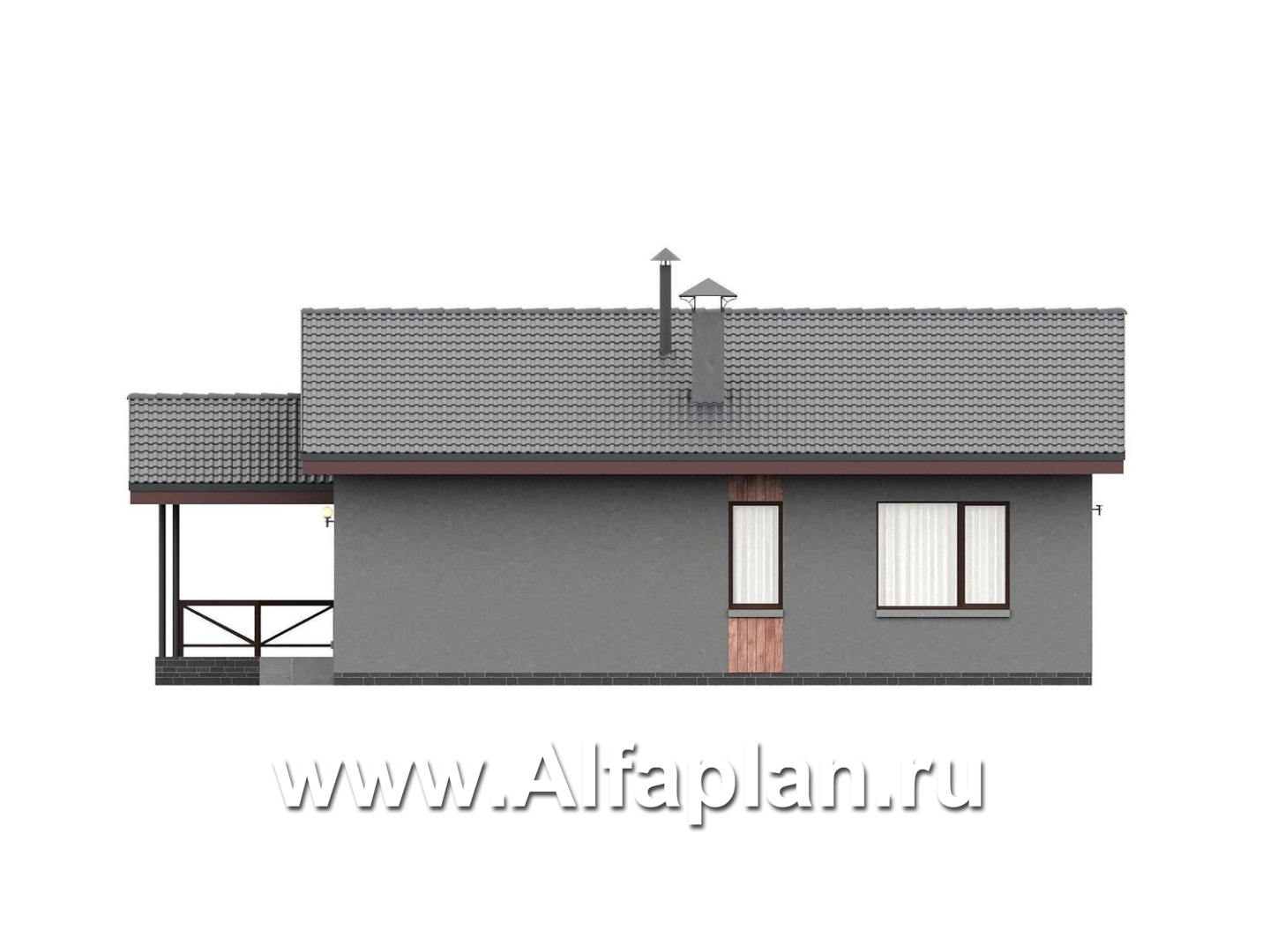«Прагматика» - проект умного одноэтажного дома, планировка 2 спальни, с террасой и двускатной крышей, удлинен на 1м - фасад дома - фото №3