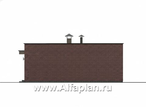 «Заозерье» - проект практичного одноэтажного коттеджа с плоской крышей, фасады - плитка под кирпич, планировка 2 спальни - превью фасада дома - фото №4