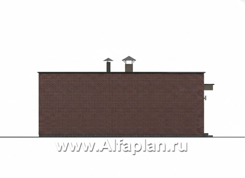 «Заозерье» - проект практичного одноэтажного коттеджа с плоской крышей, фасады - плитка под кирпич, планировка 2 спальни (зеркальный вариант) - превью фасада дома - фото №4