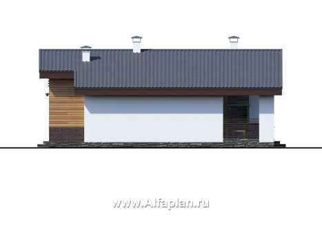 «Альфа» - проект красивого одноэтажного дома, с сауной и с террасой в скандинавском стиле - превью фасада дома