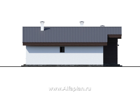 «Альфа» - проект красивого одноэтажного дома, с сауной и с террасой в скандинавском стиле - превью фасада дома