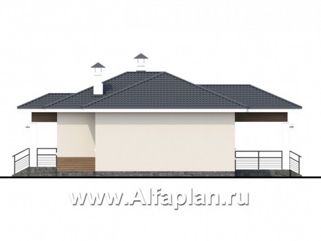 «Безоблачный» - проект одноэтажного дома (дача), с террасой, планировка 3 спальни - превью фасада дома