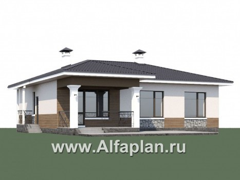 Проекты домов Альфаплан - "Новый свет" - проект одноэтажного дома для небольшой семьи - превью дополнительного изображения №1