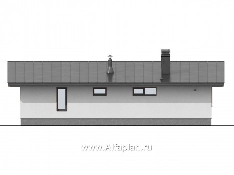 Проекты домов Альфаплан - Баня с односкатной кровлей - превью фасада №3