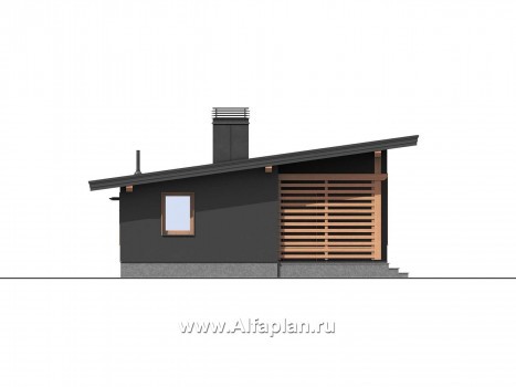Проекты домов Альфаплан - Баня с односкатной кровлей - превью фасада №6