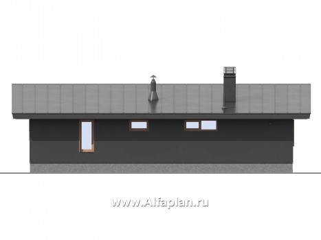 Проекты домов Альфаплан - Баня с односкатной кровлей - превью фасада №7