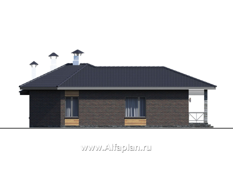 Проекты домов Альфаплан - «Квазар» - проект одноэтажного дома с диагональным планом - превью фасада №2