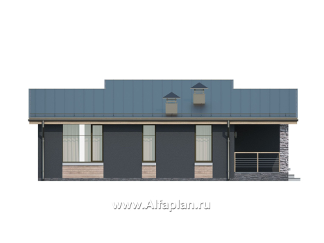 Проекты домов Альфаплан - «Корица» - одноэтажный дом с односкатной крышей, с двумя спальнями - превью фасада №4