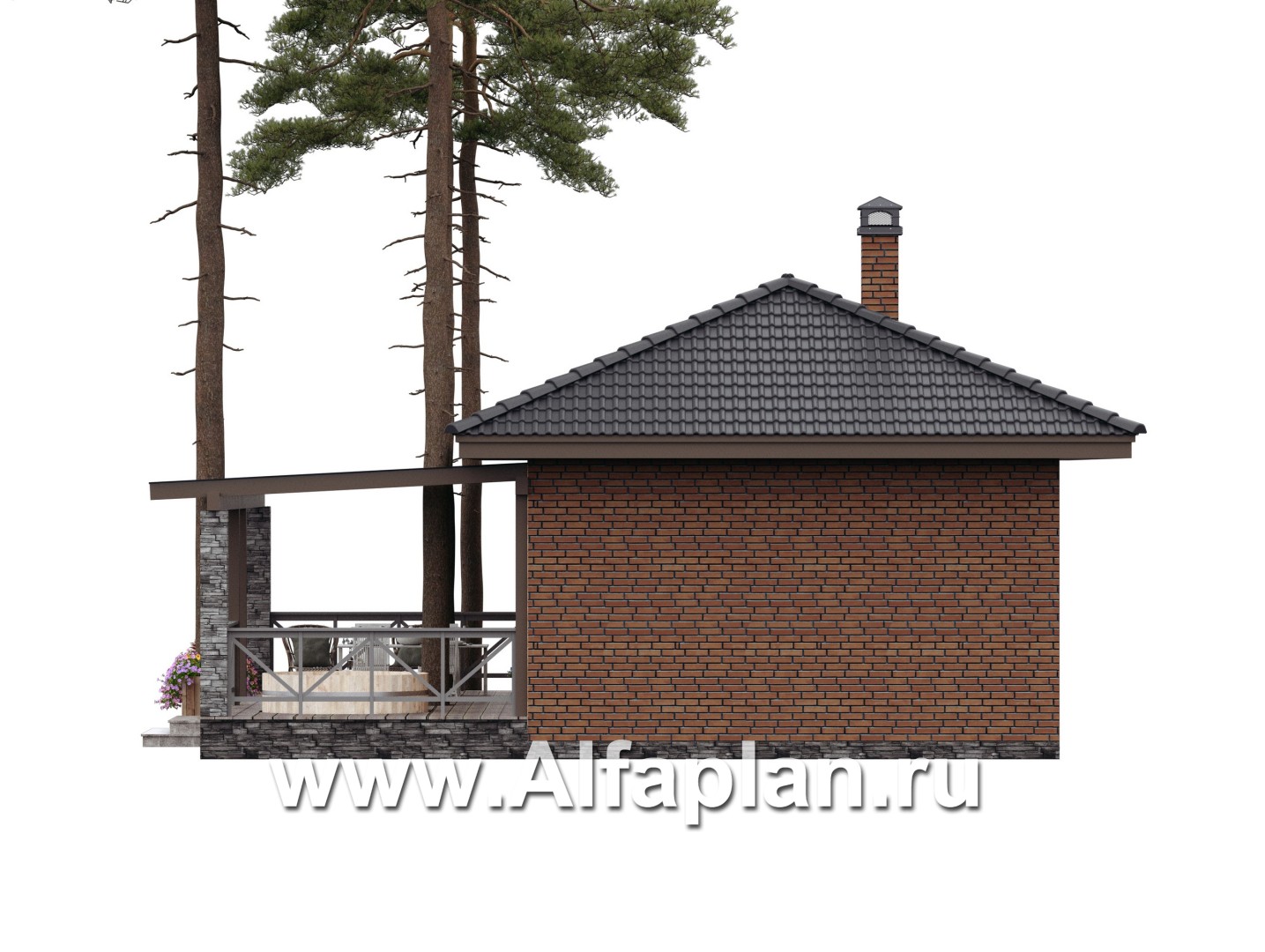 Проекты домов Альфаплан - Баня с большой террасой (каркасный дом) - дополнительное изображение №5