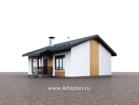 Проекты домов Альфаплан - "Литен" - проект простого одноэтажного дома с комфортной планировкой - превью дополнительного изображения №1