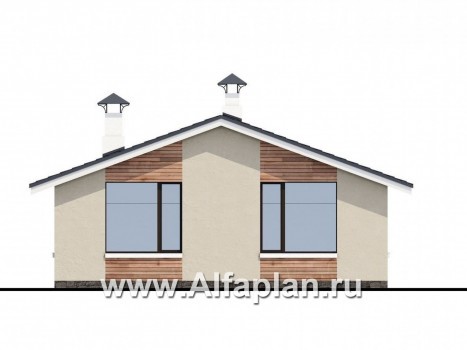 Проекты домов Альфаплан - «Родия» - проект одноэтажного дома, 2 спальни, с террасой и двускатной крышей, в современном стиле - превью фасада №4