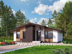 «Альфа» - проект одноэтажного дома, с сауной и с террасой в скандинавском стиле
