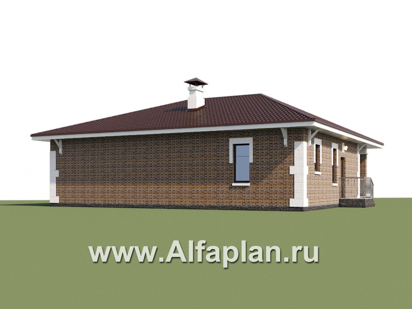 Проект бани с  сауной и хамам, с бассейном длиной 10 м, в стиле Петровское барокко - дизайн дома №1