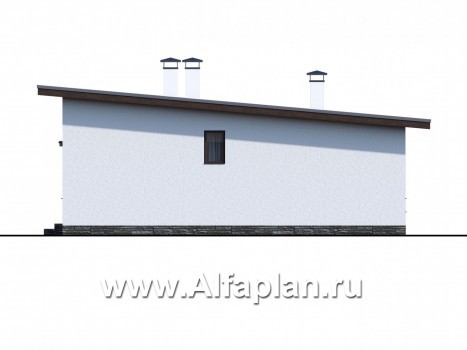 «Бета» - проект одноэтажного каркасного дома с террасой, в скандинавском стиле - превью фасада дома