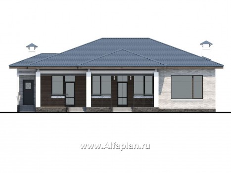 Проекты домов Альфаплан - «Калипсо» - комфортабельный одноэтажный дом  с вариантами планировки - превью фасада №4